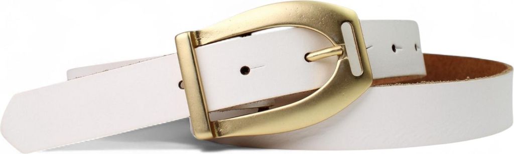 FRONHOFER Toller Damengürtel mit Schnalle in mattgold, 2,7 cm