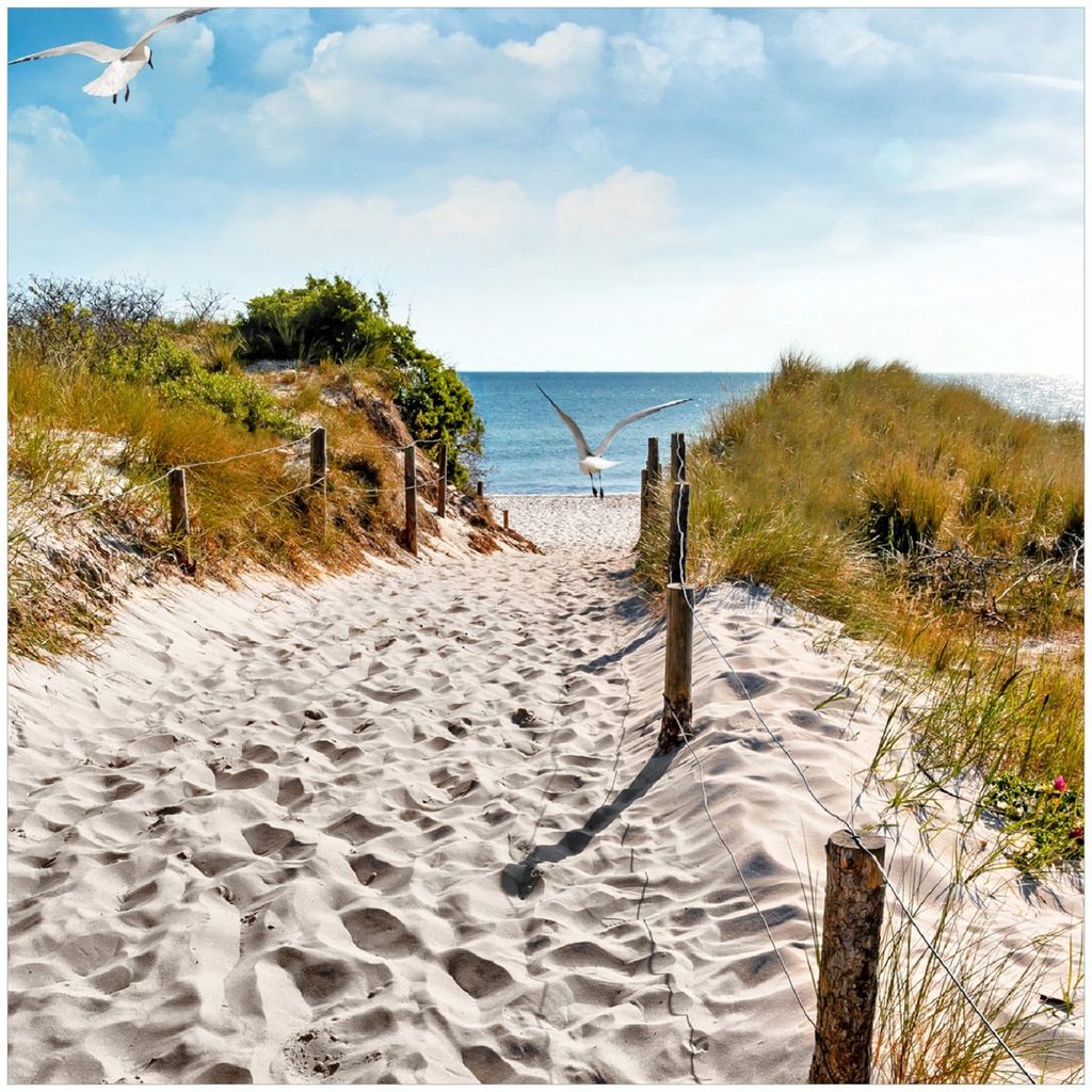 Wallario Premium Glasbild, freischwebende Optik, kräftige Farben, Größe 30 x 30 cm Motiv Möwen auf dem Weg zum Strand