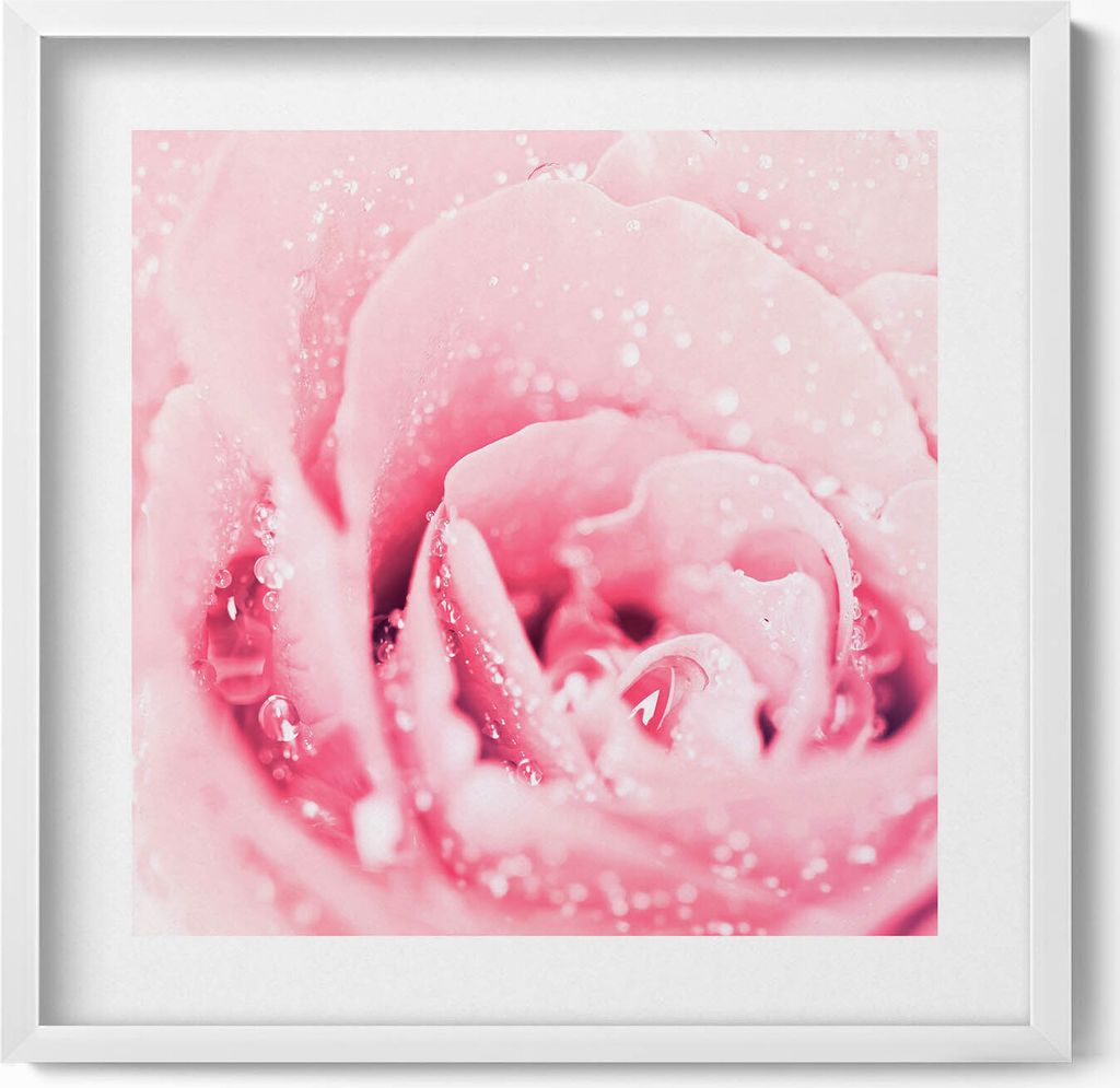 Zarte rosa Blume– Wandbild mit Rahmen – Gerahmtes Bild – Wanddekoration – 50x50 cm – Weiß Rahmen