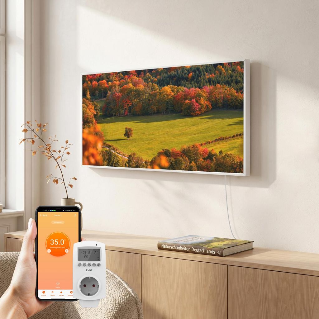 EMKE Infrarotheizung mit Thermostat, Bildheizung 119,5x59,5 Produktbild 