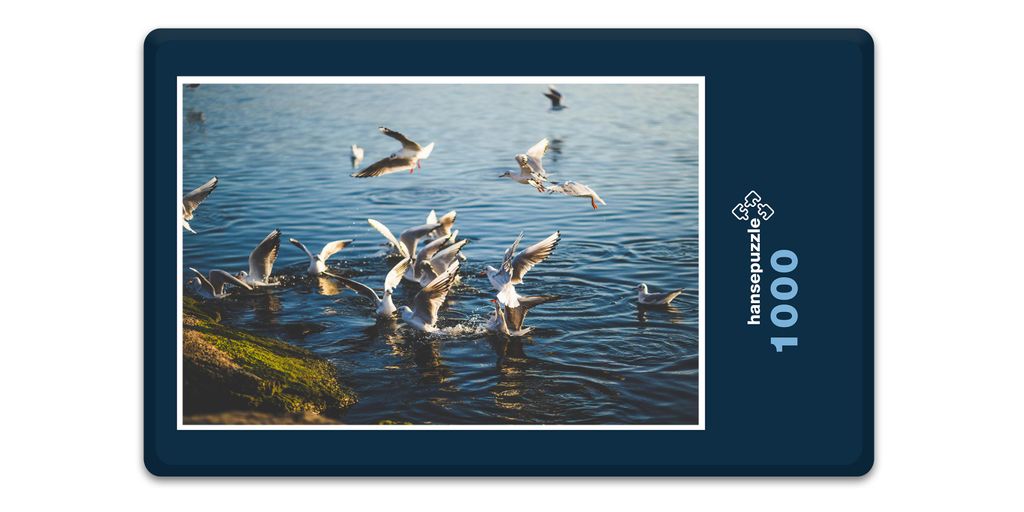hansepuzzle 10620 - Möwen Puzzle, 1000 Teile, Tierwelt, 60,0 x 46,0cm mit hochwertiger Aufbewahrung, Kartonbox und wiederverschließbarem Beutel