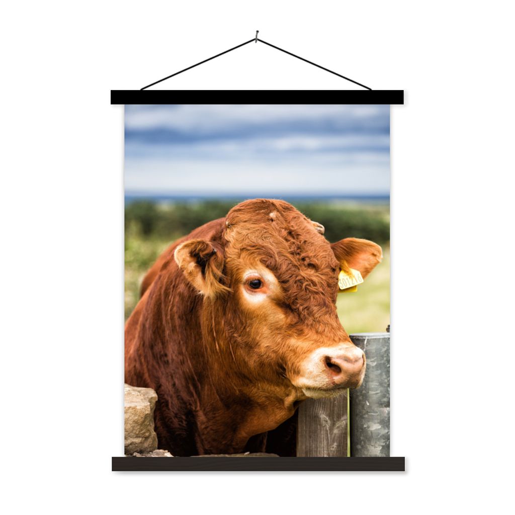 MuchoWow Textilposter Schottischer Highlander - Berg - Zaun 60x80 cm mit schwarzem Rahmen - Plakathalter