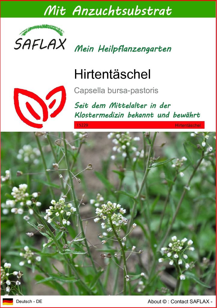 SAFLAX - Hirtentäschel - Capsella bursa-pastoris - 1000 Produktbild 