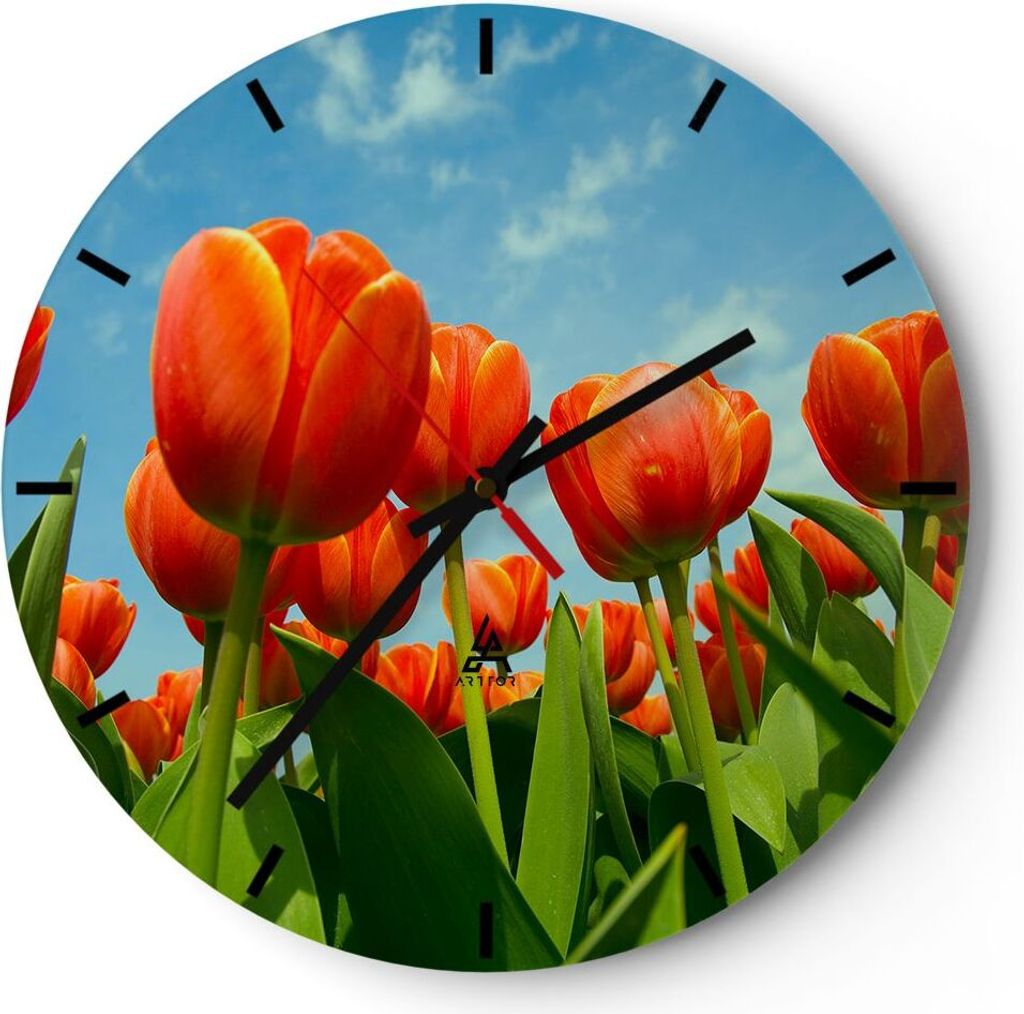 Wanduhr - Rund - Glasuhr - Tulpe Blume blauer Himmel - 40x40cm - Schleichendes Uhrwerk - Lautlos - zum Aufhängen bereit - Dekoration Modern - Wand...