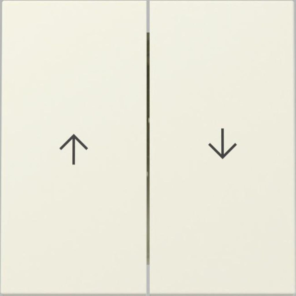 GIRA 329401 Wippe 2fach Pfeil System 55 Cremeweiß glänzend