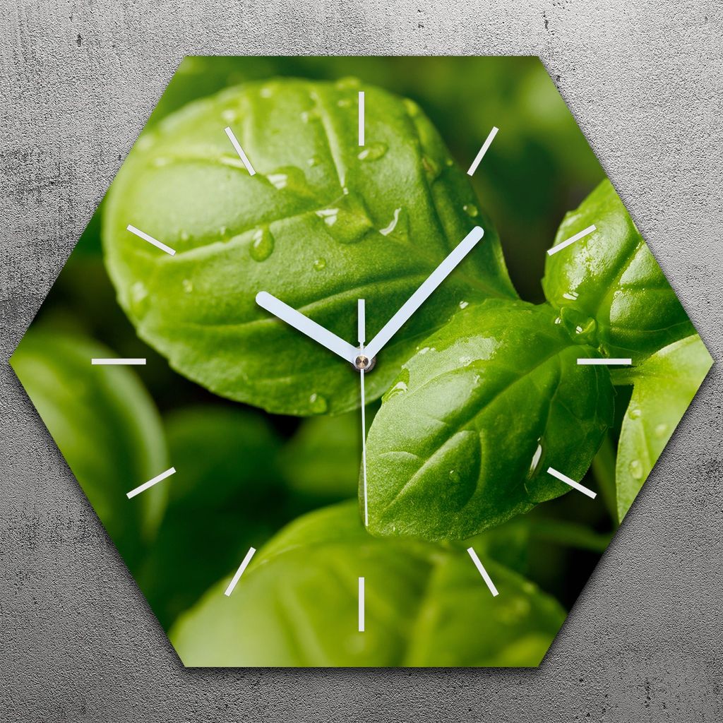Uhr hexagonal 40 cm Glas Geräuschlos weiße Zeiger - Genovese Basilikum Blätter