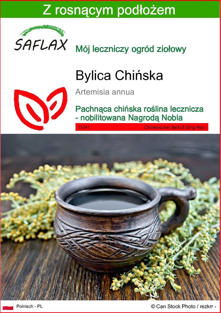 SAFLAX - Bylica Chińska - 250 Nasiona - Z podłożem Zdjęcie produktu 
