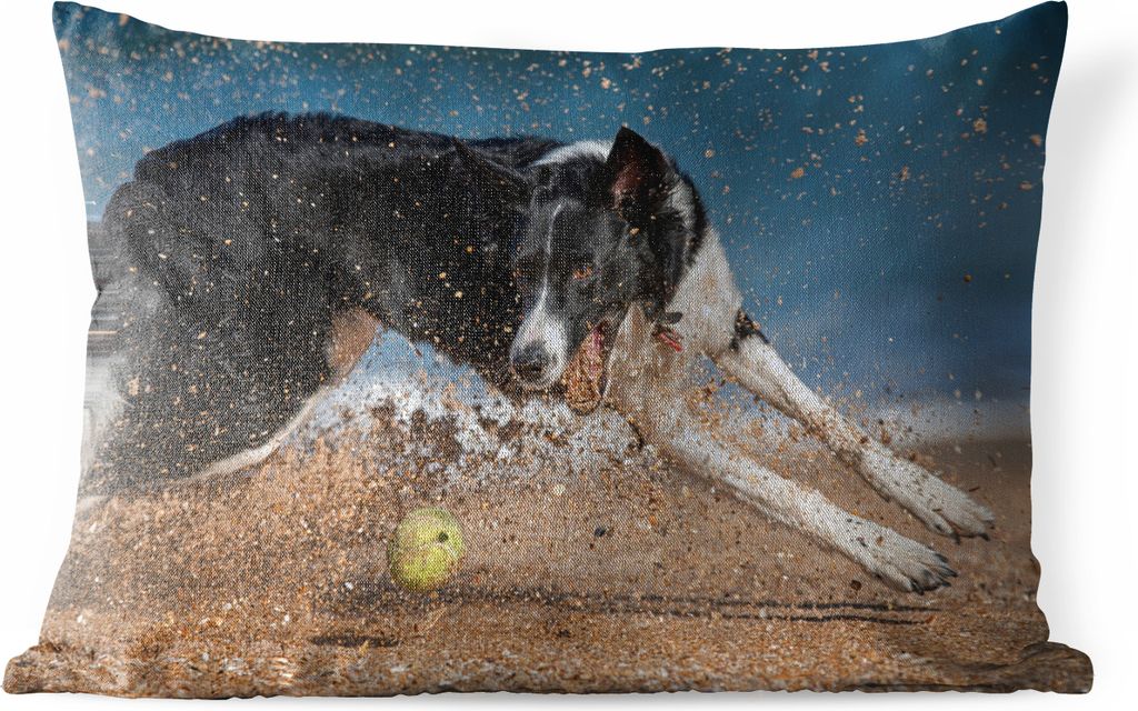 MuchoWow Outdoor Kissen - Ein schwarz-weißer Border Collie jagt einen Tennisball am Strand - 60x40 cm - Wetterfest - Lounge Kissen - Zierkissen ...