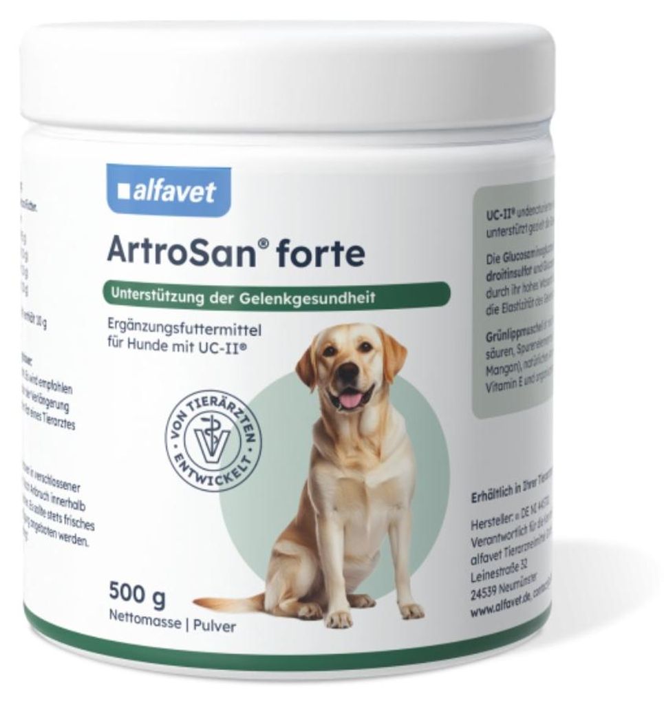 ArtroSan forte 500g Produktbild 