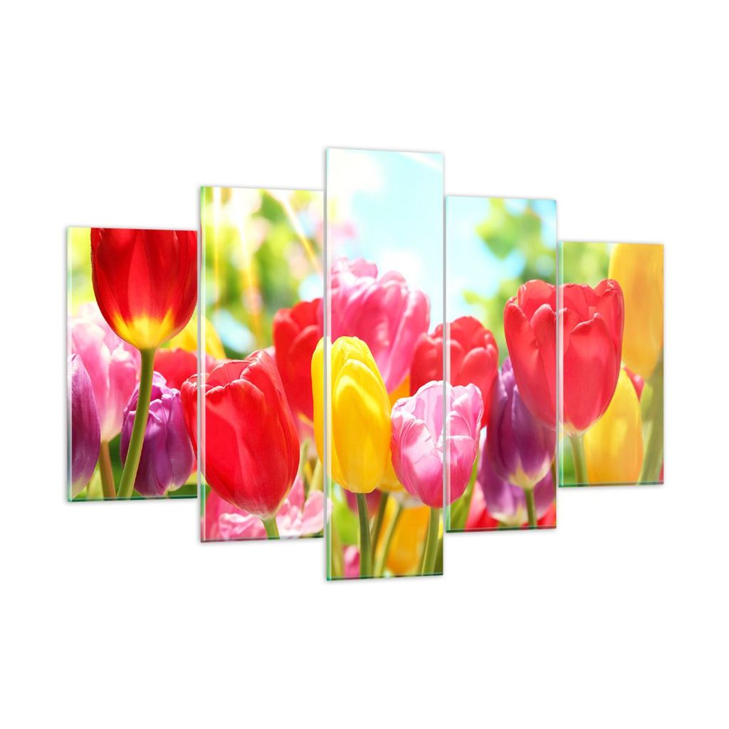 Bilder auf glas - Tulpe Blume Garten Plantage - 150x100cm - Glasbilder - Wandbilder - Kunstdruck - zum Aufhängen bereit - Wanddekoration aus Glas ...