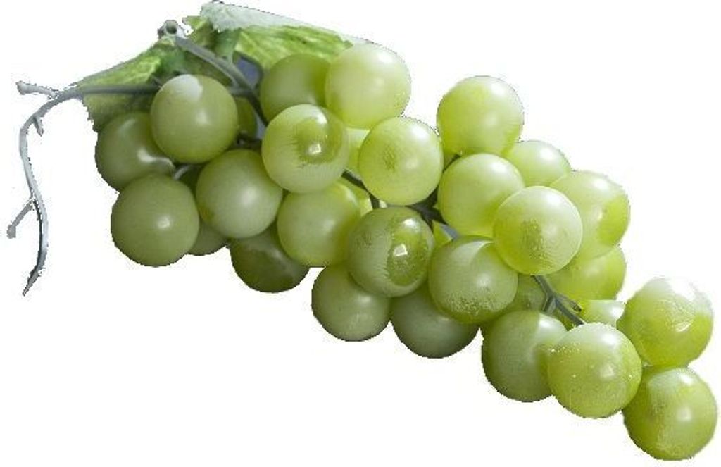 Weintrauben Dekotrauben mit 48 Trauben und 2 Blättern Farbe: grün Gesamtlänge=12 cm