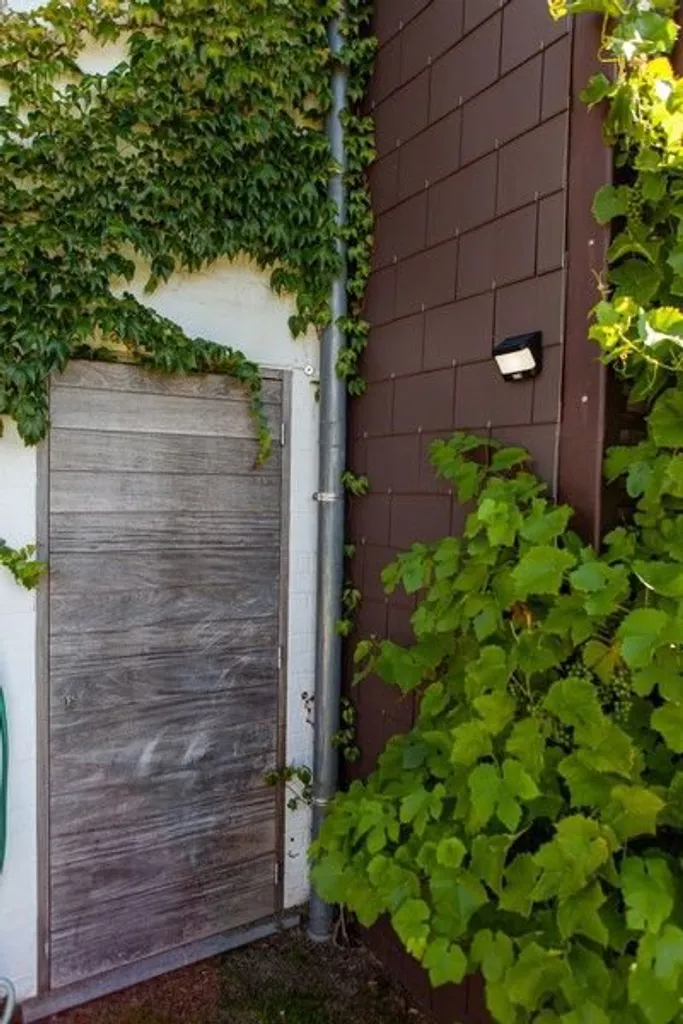 Applique solaire TRY Lutec noire : éclairez sans câbles ni facture d'énergie