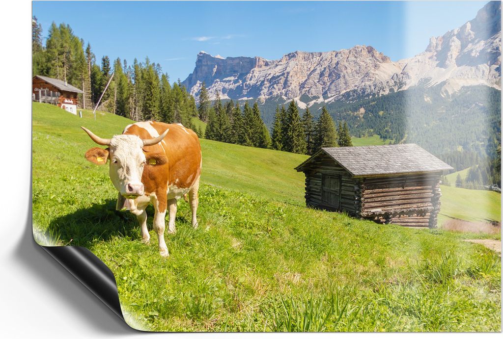 DEQORI Magnetmatte Universal 42x30 cm (A3) 'Alpine Ruhepause' Magnetfolie Kalender Planer