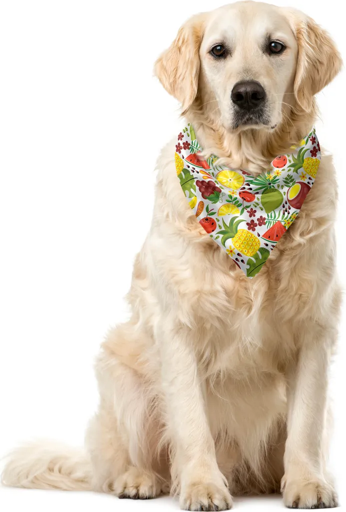 ABAKUHAUS Bandana Cani Hawaiana 40x40cm | Stampa Tropicale Multicolore