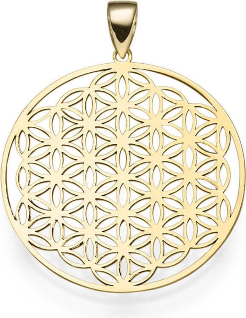 Anhänger Lebensblume mit Ornament 24,5mm 585 Gold Gelbgold rund Halsschmuck