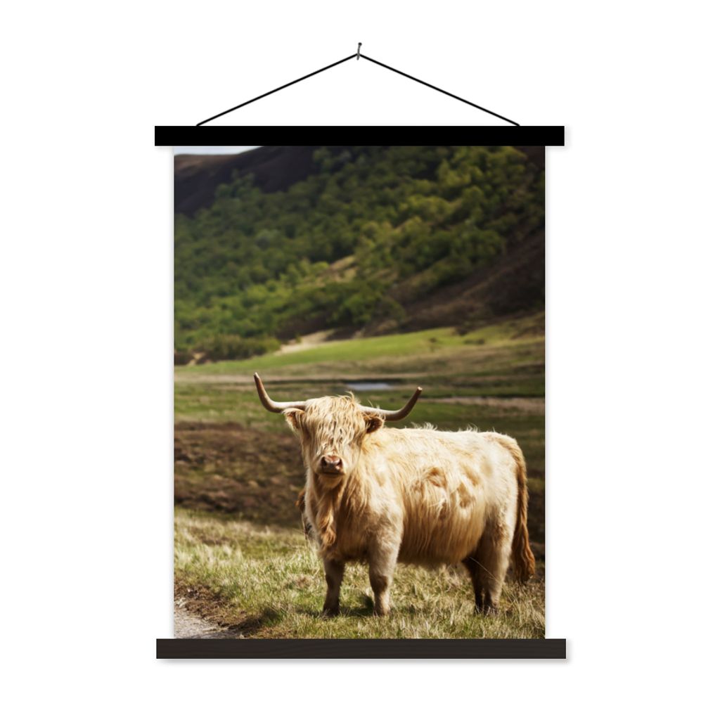 MuchoWow Textilposter Schottische Highlander - Pfad - Wald 60x80 cm mit schwarzem Rahmen - Plakathalter