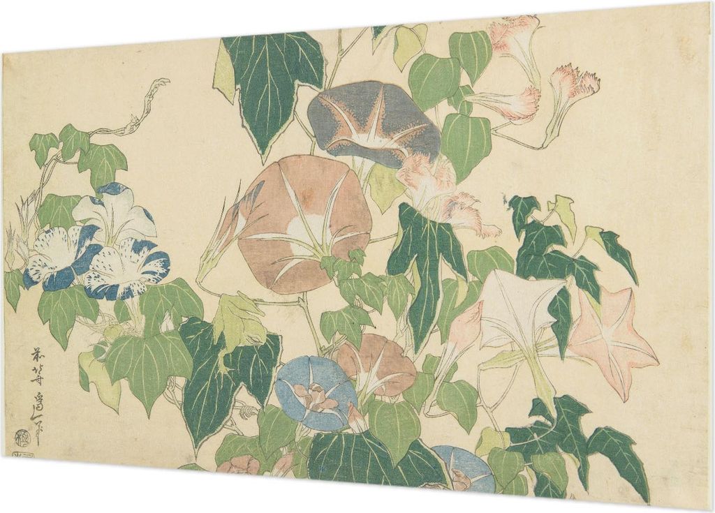 Fototapete - Wandbilder für Wohnzimmer - 416x254 - Dekorative Wandfolie - Modernes Design für Wanddekoration - Tapeten für Innenräume - Florale...
