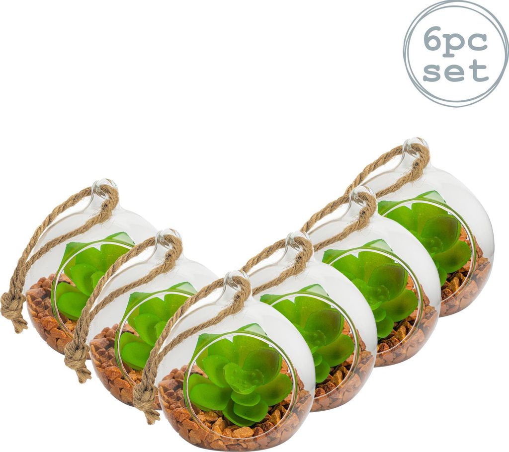 Nicola Frühling Glas Pflanze Terrarium Set für Sukkulenten Ferns Cactus - Tabletop oder hängend Display - 80mm - 6er Pack