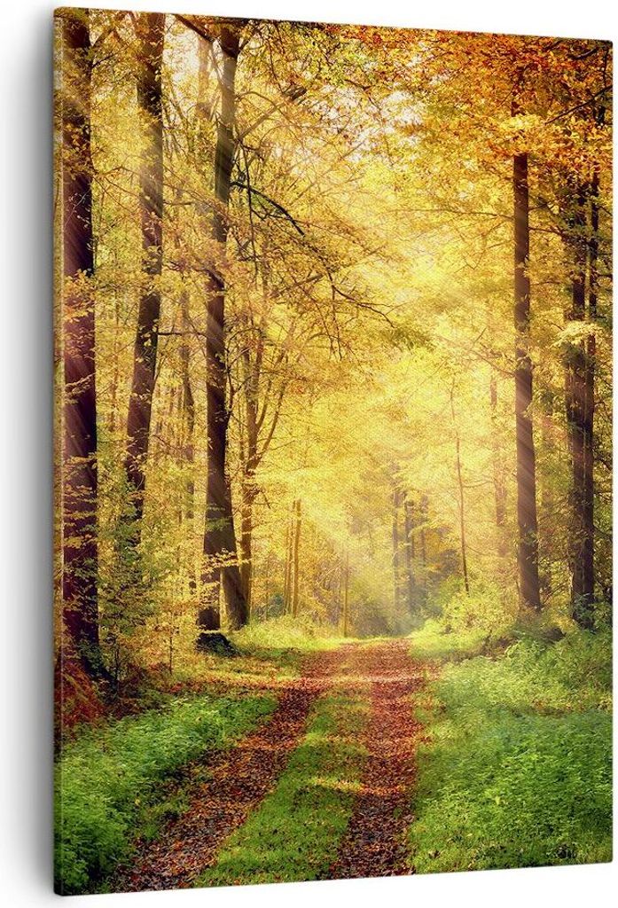 Bild auf Leinwand - Leinwandbild - Einteilig - Wald Baum Produktbild 
