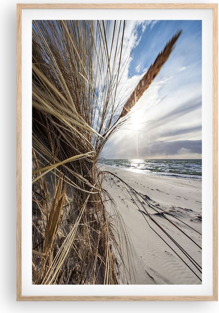 Gerahmtes Poster - Rahmen in heller Eiche - Küste Perspektive Gras - 61x91,5 cm - Wand Bild - Wanddeko - Wandbilder - Kunstposter - Wandposter - B...
