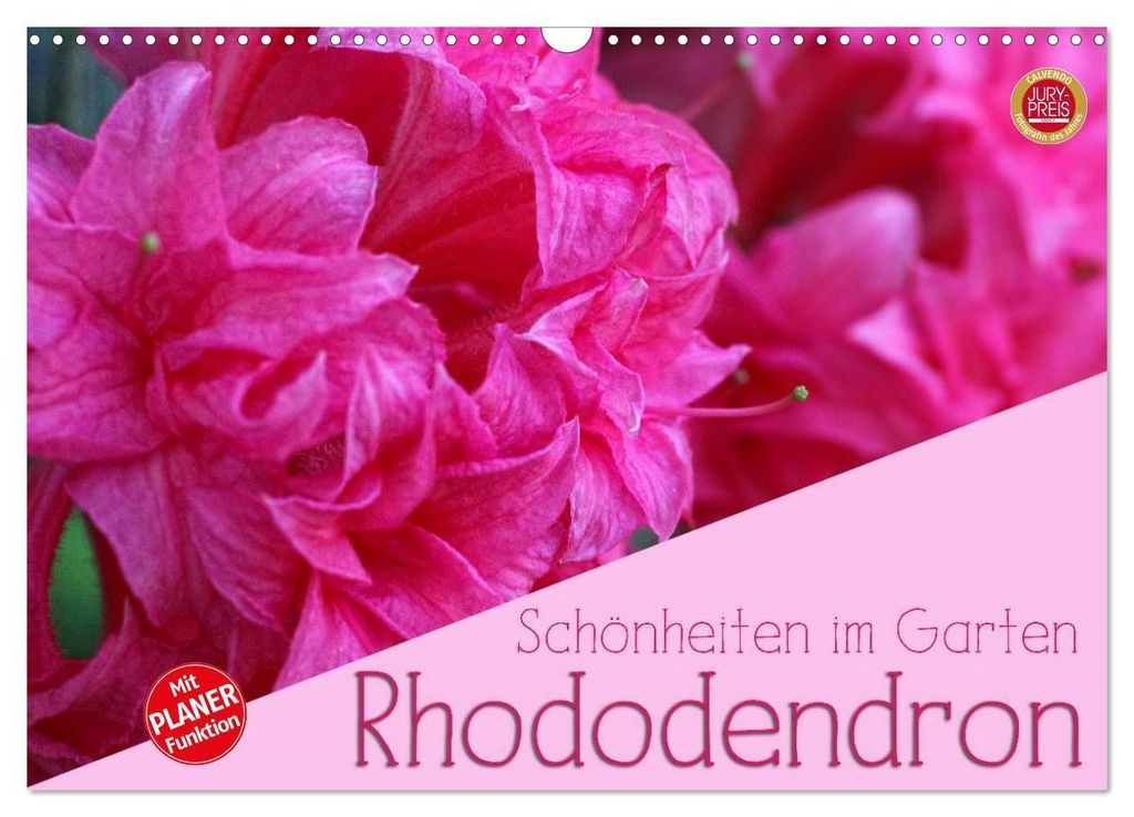 Rhododendron Schönheiten im Garten (Wandkalender 2027 DIN A3 quer), CALVENDO Monatskalender