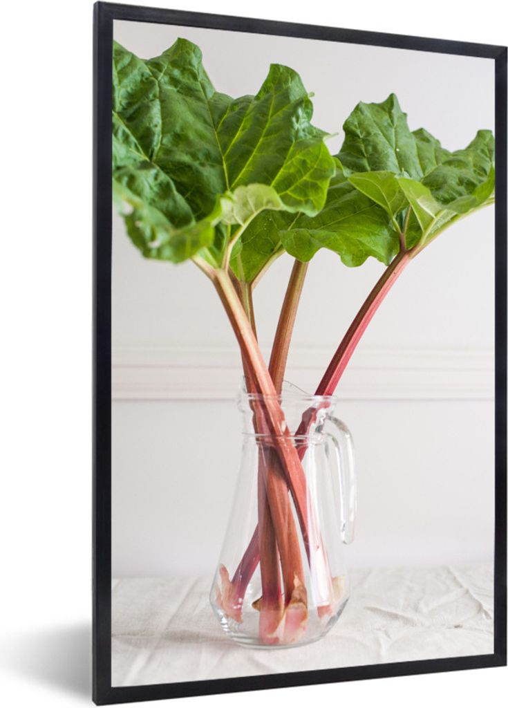 MuchoWow Gerahmtes Poster Rhabarberstängel in einer Glasvase vor weißem Hintergrund 20x30 cm - Poster mit Schwarzem Bilderrahmen Wandposter Rah...