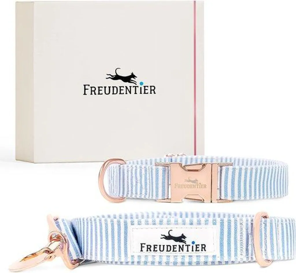 Kit collier et laisse réglable 2m en toile souple bleu ciel et blanc