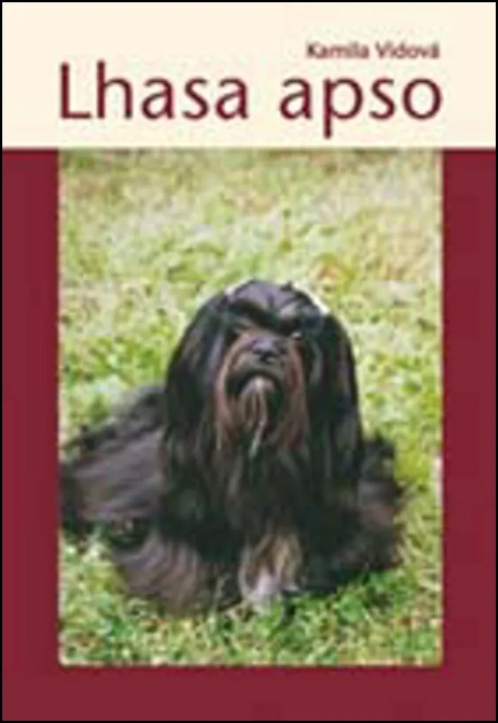 Lhasa Apso Harnais de Luxe en Cuir Noir Rembourré pour Petit Chien