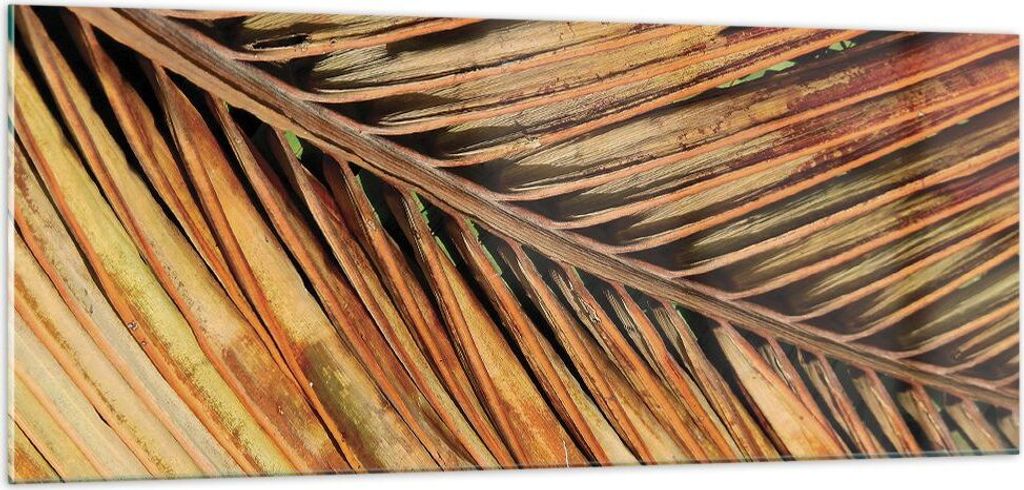 Bilder auf glas - Einteilig - Orange Blatt Tropisch - 100x40cm - Glasbilder - Wandbilder - Bilder - zum Aufhängen bereit - Wanddekoration aus Glas...