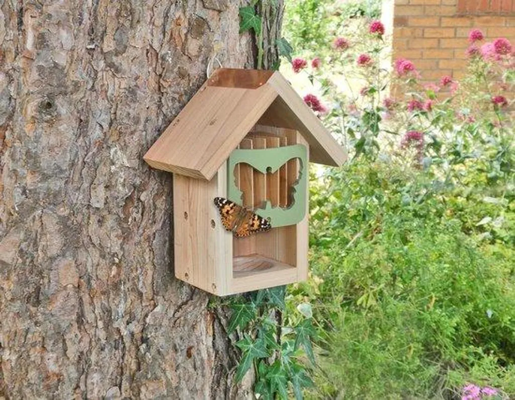 Ponceuse Flamingo Puissante - Système de Ponçage à Haut Rendement 125mm