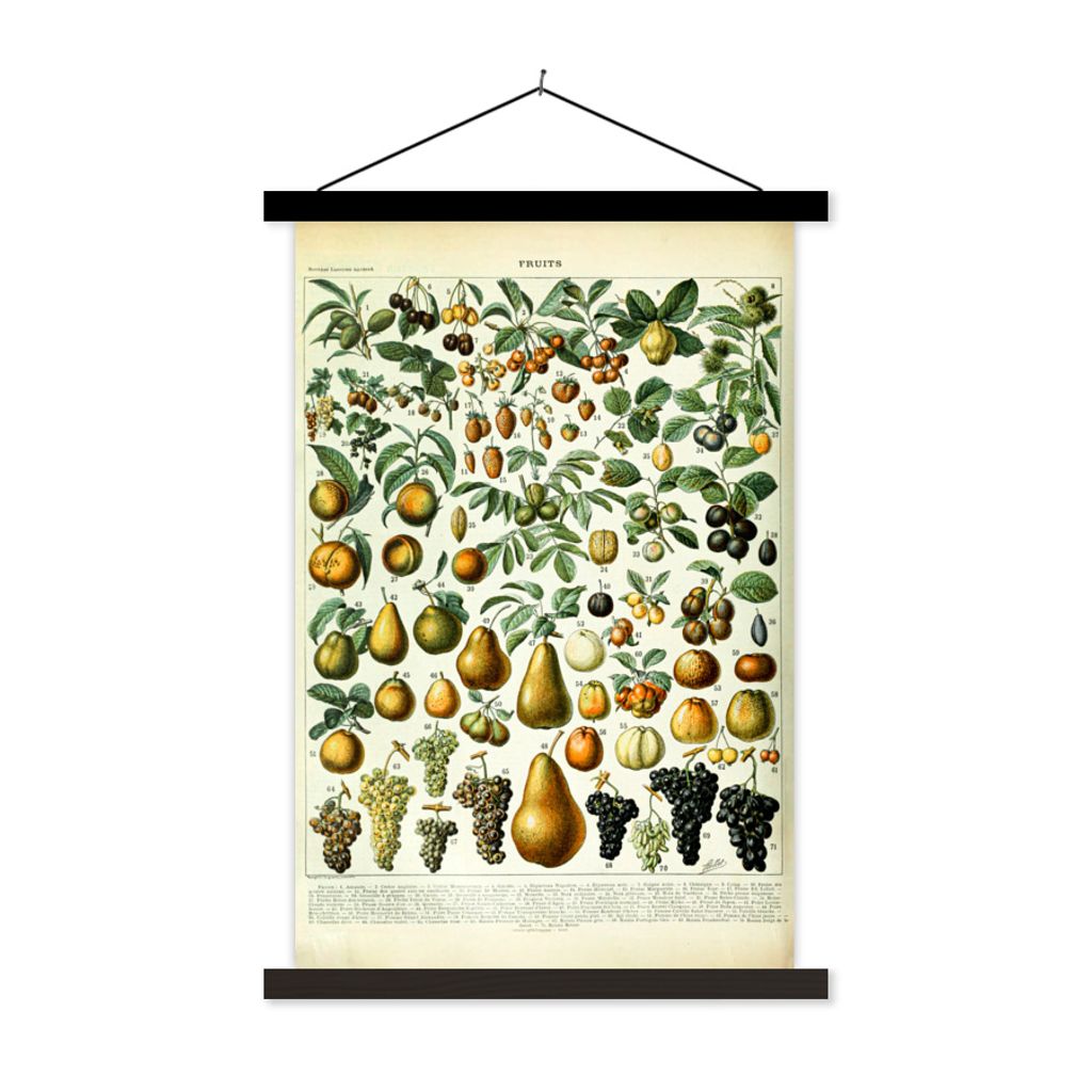 MuchoWow Textilposter Adolphe Millot - Jahrgang - Obst - Birne - Trauben 120x180 cm mit schwarzem Rahmen - Fotos