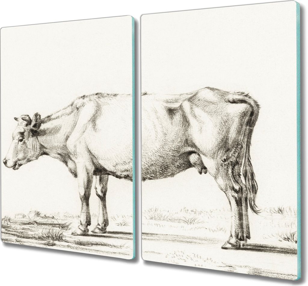 Coloray Schneidebrett Herdabdeckplatte 2x30x52 cm Kochplattenabdeckung Hackbrett Küchenbrett - Tier Kuh Skizze