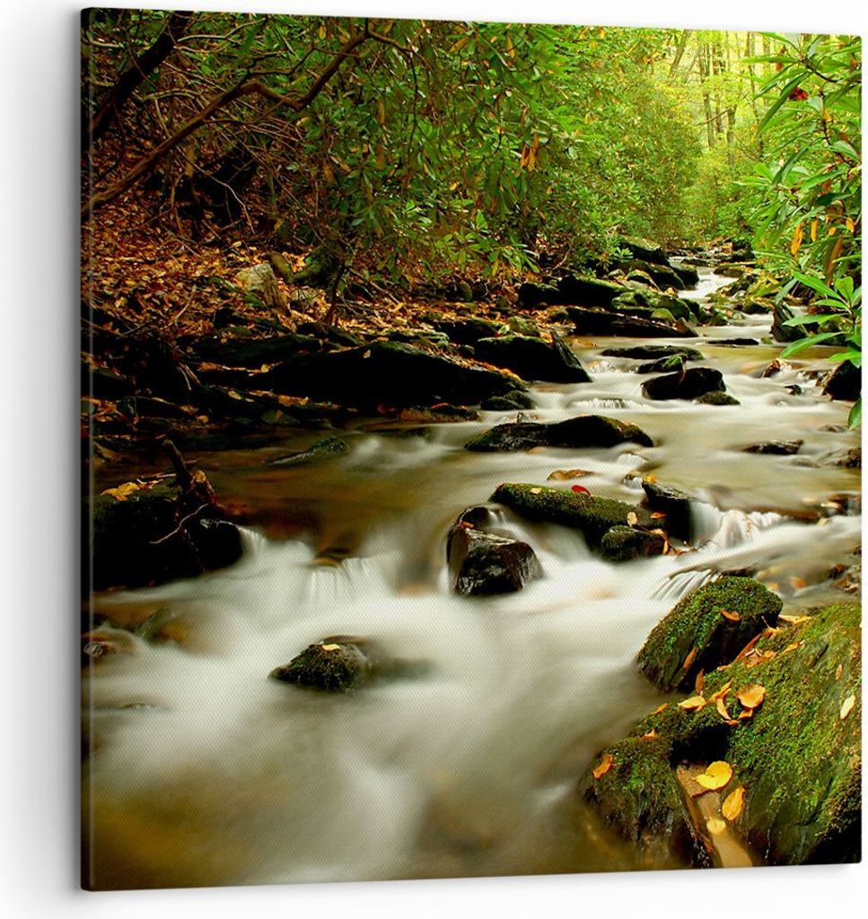 Bild auf Leinwand - Leinwandbild - Bäume Strom Felsen - 50x50cm - Wand Bild - Wanddeko - Wandbilder - Leinwanddruck - Bilder - Kunstdruck - Wandde...