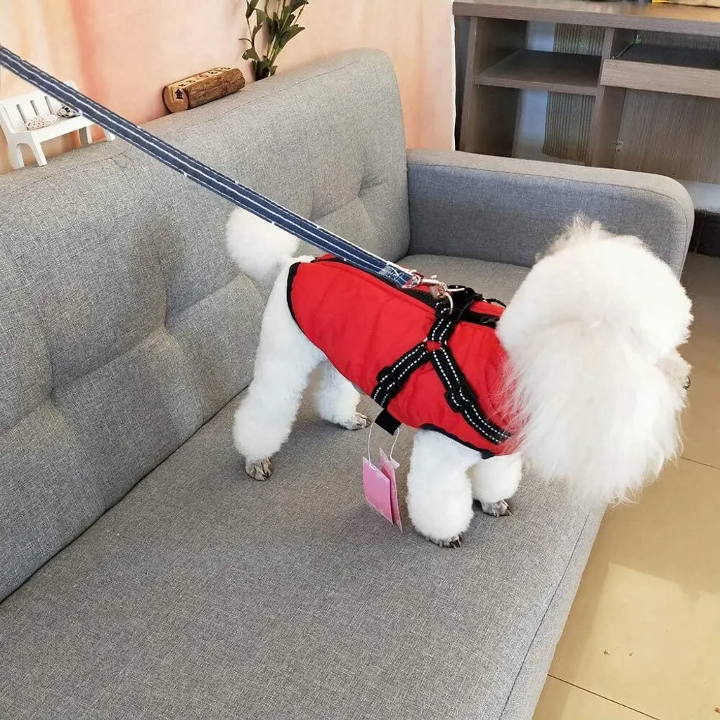 Giacca per cani Gilet invernale Giacche Cappotto per cani Maglione per animali domestici Costume da sci Gilet senza maniche in cotone imbottito con imbracatura con cinturino al petto