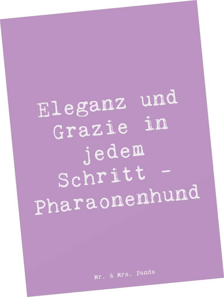Mr. & Mrs. Panda Grußkarte Spruch Eleganter Pharaonenhund - Lavendeltraum - Geschenk, Ansichtskarten, aktive Hunde, Hunderasse, freundlicher Hund,...