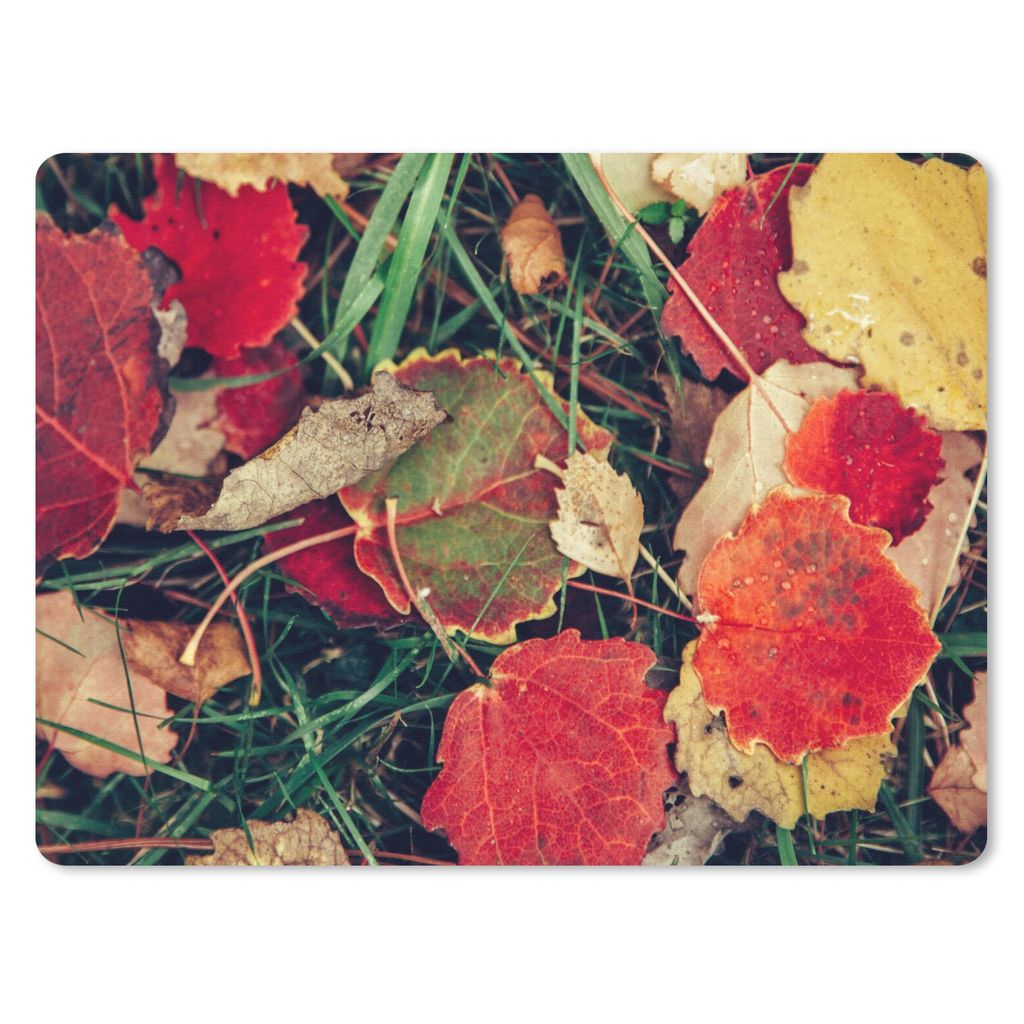 MuchoWow Mauspad Mousepad Blätter - November - Herbst - Natur 40x30 cm - Mousepads - Maus Mat - Pad - Mausunterlage - Anti Rutsch
