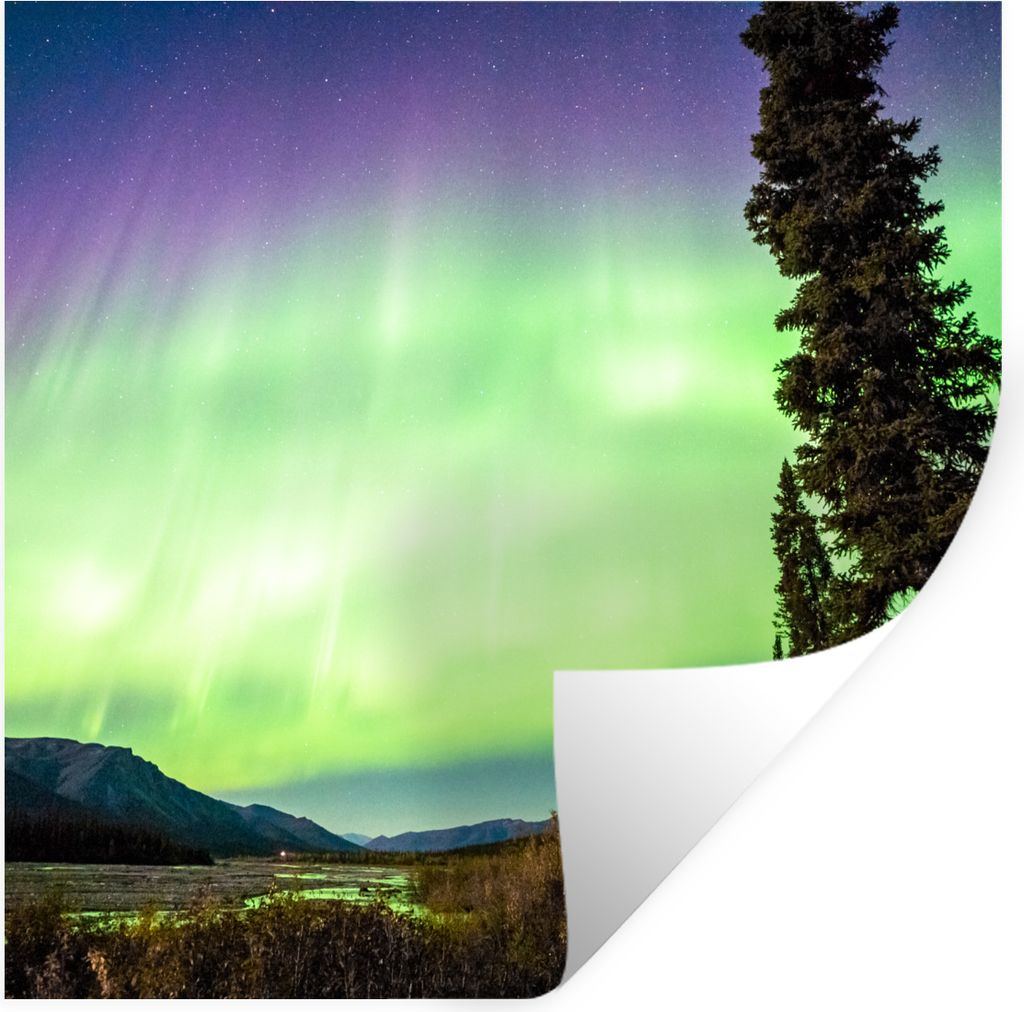 MuchoWow Wandtattoo Wandsticker Wandaufkleber Nordlichter - Baum - Berg - Natur 80x80 cm Selbstklebend und Repositionierbar - Wierderverwendbar -...