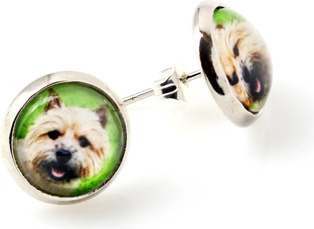 Norwich Terrier - Orecchini in una scatola, la tua foto, gioielli fatti a mano, marchio proprio di Art-Dog.