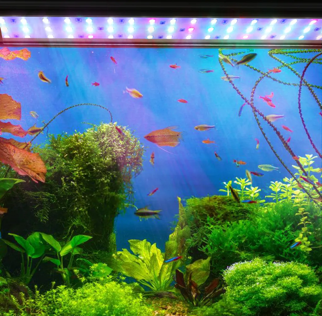 TolleTour 36W 85-100cm LED acquario con timer acquari d'acqua dolce tartarughe RGB - 7