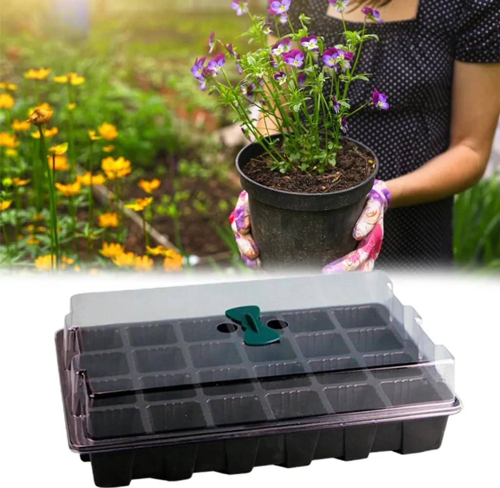 Bac de semis 24 cellules avec couvercle transparent pour germination - 6