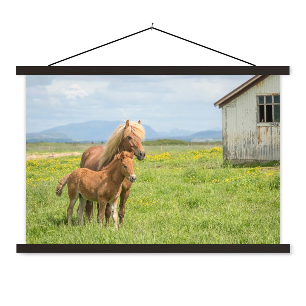 MuchoWow Textilposter Pferde - Fohlen - Gebirge 120x80 cm mit schwarzem Rahmen - Wanddeko