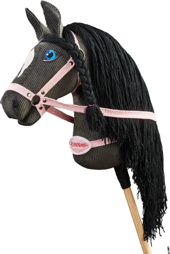 Cheval sur Bâton pour Entraînement Hobby Horsing Ponnie Black Star Noir