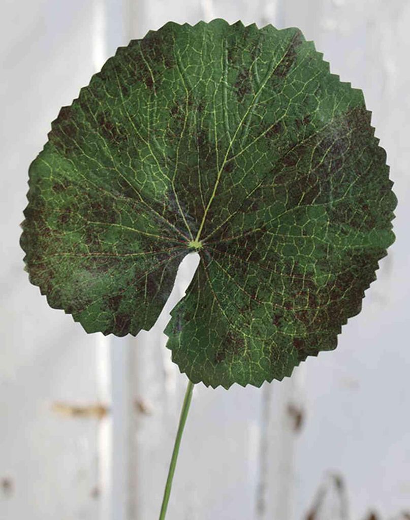 artplants.de Kunst Geranien Blatt HEIDEGARD, grün-rot, 38cm, Ø13cm - Künstliche Geranie