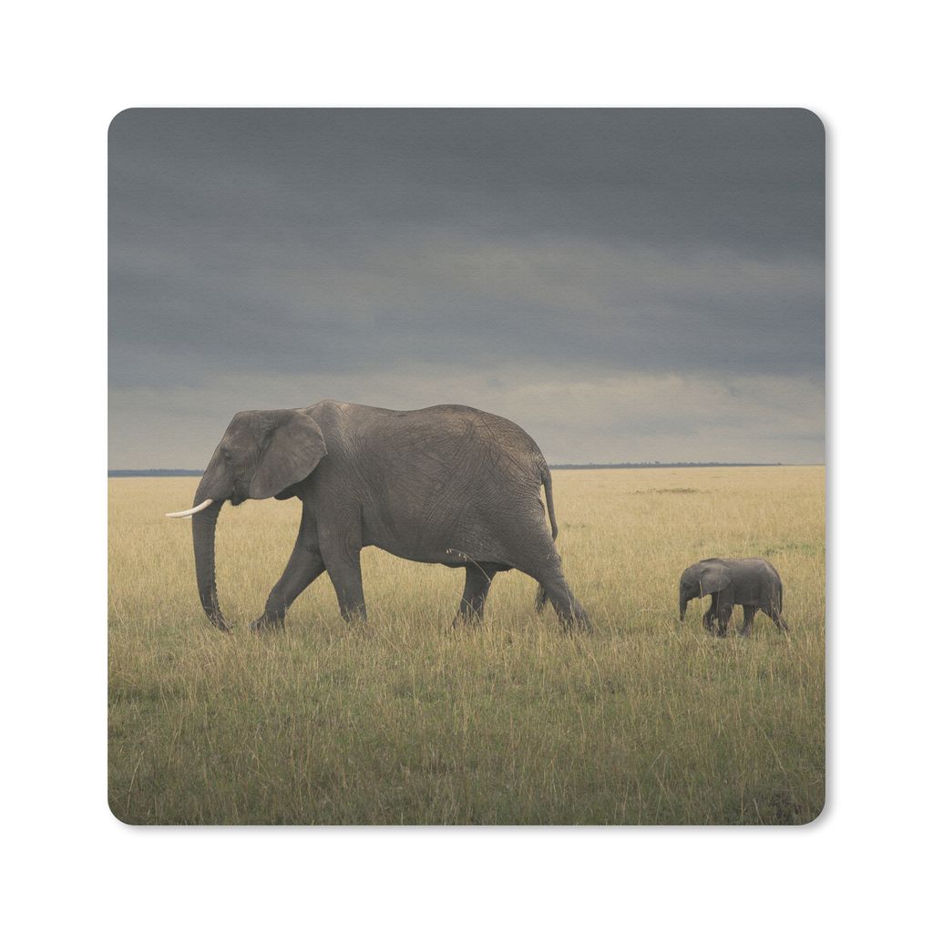 MuchoWow Mauspad Mousepad Elefant - Savanne - Tiere - Natur 20x20 cm - Mousepads - Maus Mat - Pad - Mausunterlage - Desk Mat - Bureauartikeln