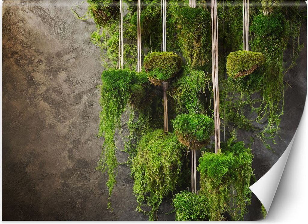 Vlies fototapete Moospflanze Botanik 250x175 cm Feeby Grün inkl. Kleber einfache Montage