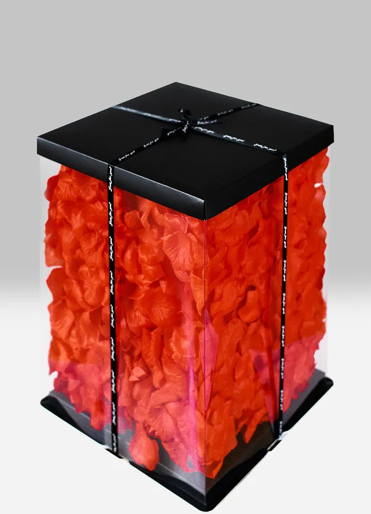 Boîte cadeau transparente avec pétales de rose rouge pour bijoux de luxe