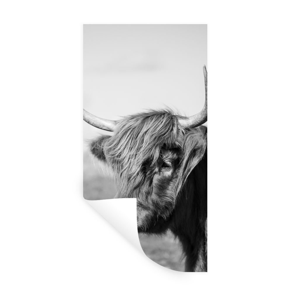MuchoWow Wandtattoo Wandsticker Wandaufkleber Schottischer Highlander - Tiere - Schwarz - Weiß 60x120 cm Selbstklebend und Repositionierbar - Se...