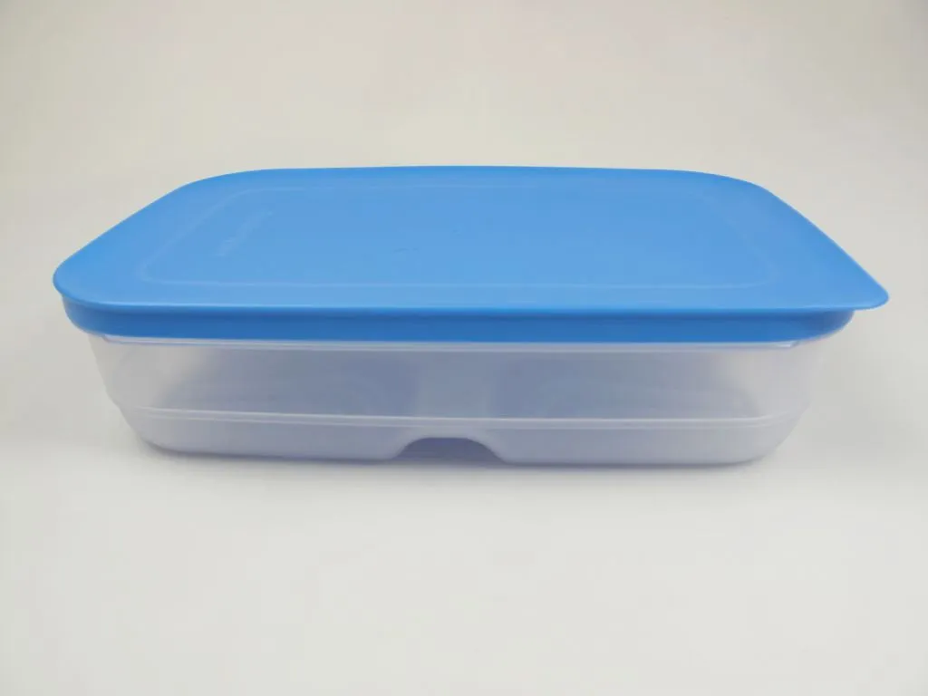 Tupperware KlimaOase 1,8L Blu: Contenitore Frigo PrimaKlima per Salumi