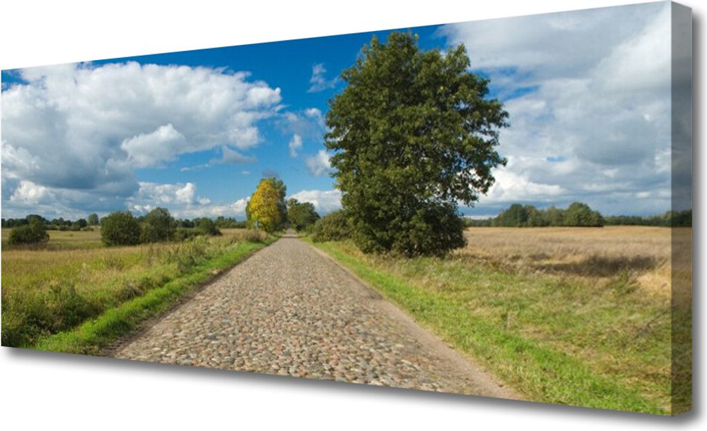 Tulup Leinwand-Bilder 125x50 Wandbild Canvas Kunstdruck Produktbild 