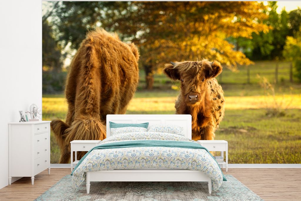 MuchoWow Fototapete für Wohnzimmer oder Schlafzimmer Wandtapete Vinyl Motivtapete Schottischer Highlander - Kalb - Herbst - 320x240 cm - Tapeten